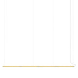 Pipeline 125.4 Pendant Light: Brass + Brass