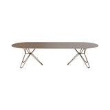 Tio Coffee Table: Oval + Pale Brown Metal