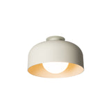 Spotlight Volumes Ceiling/Wall Light: B + Sage