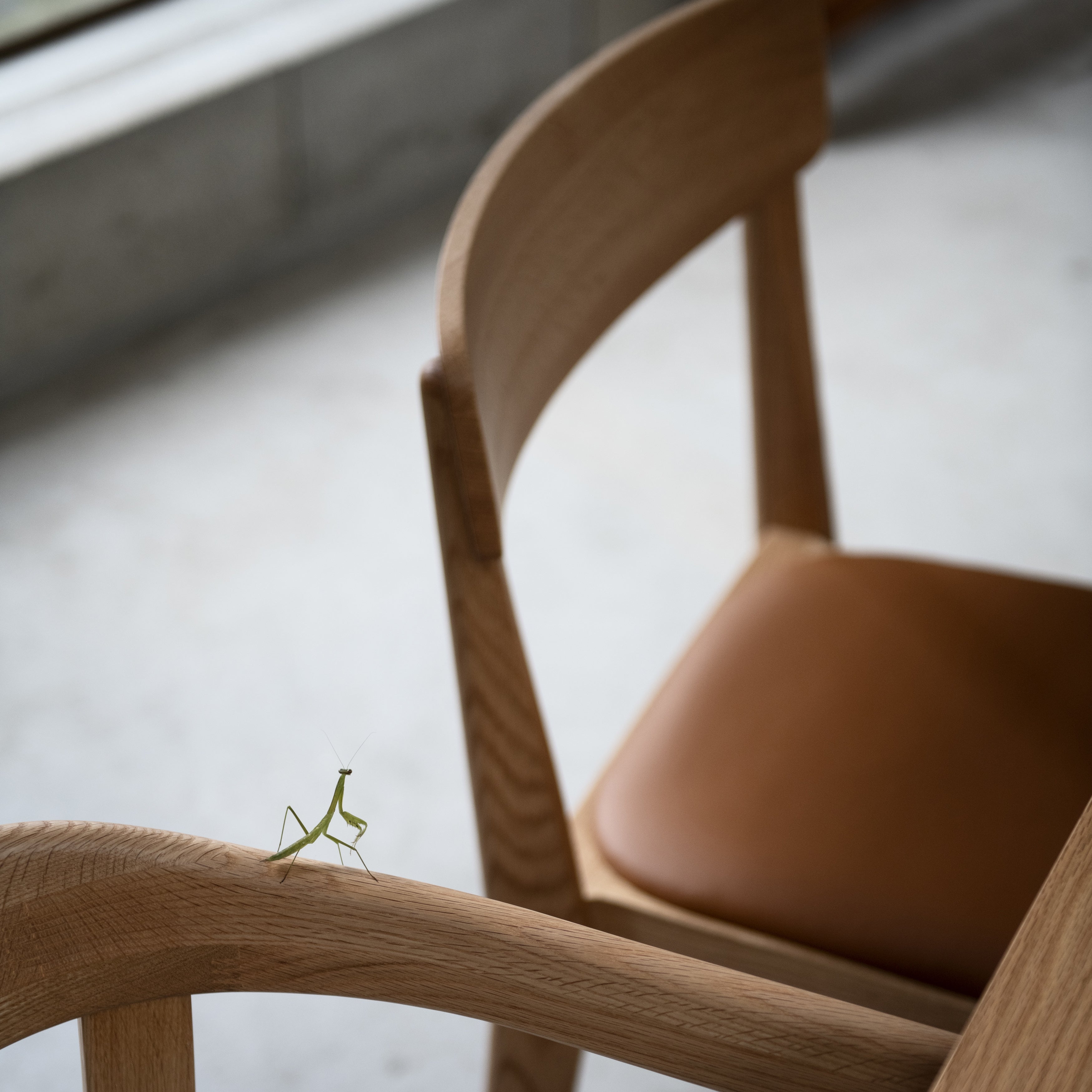 Holm Chair