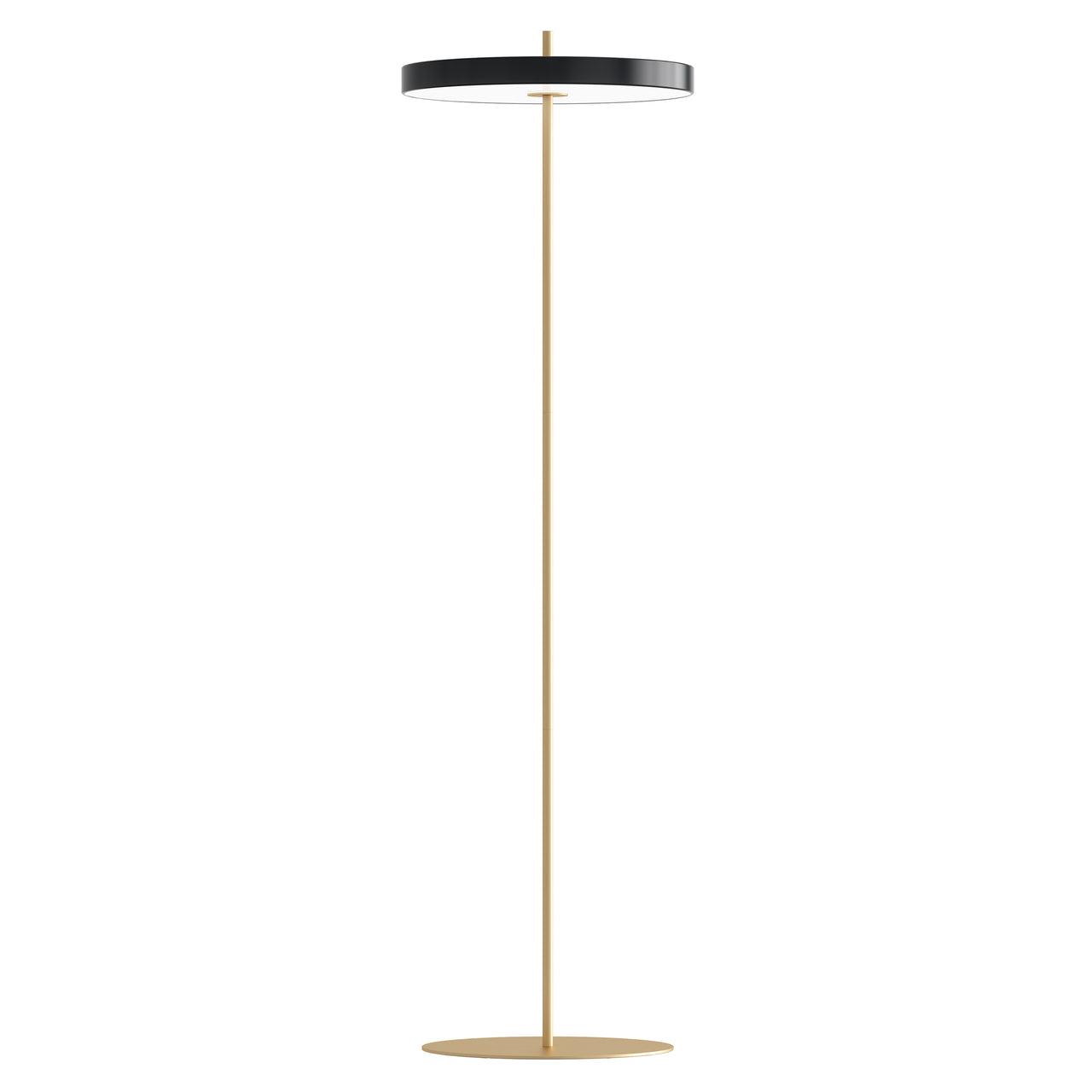 Asteria Floor Lamp: Black