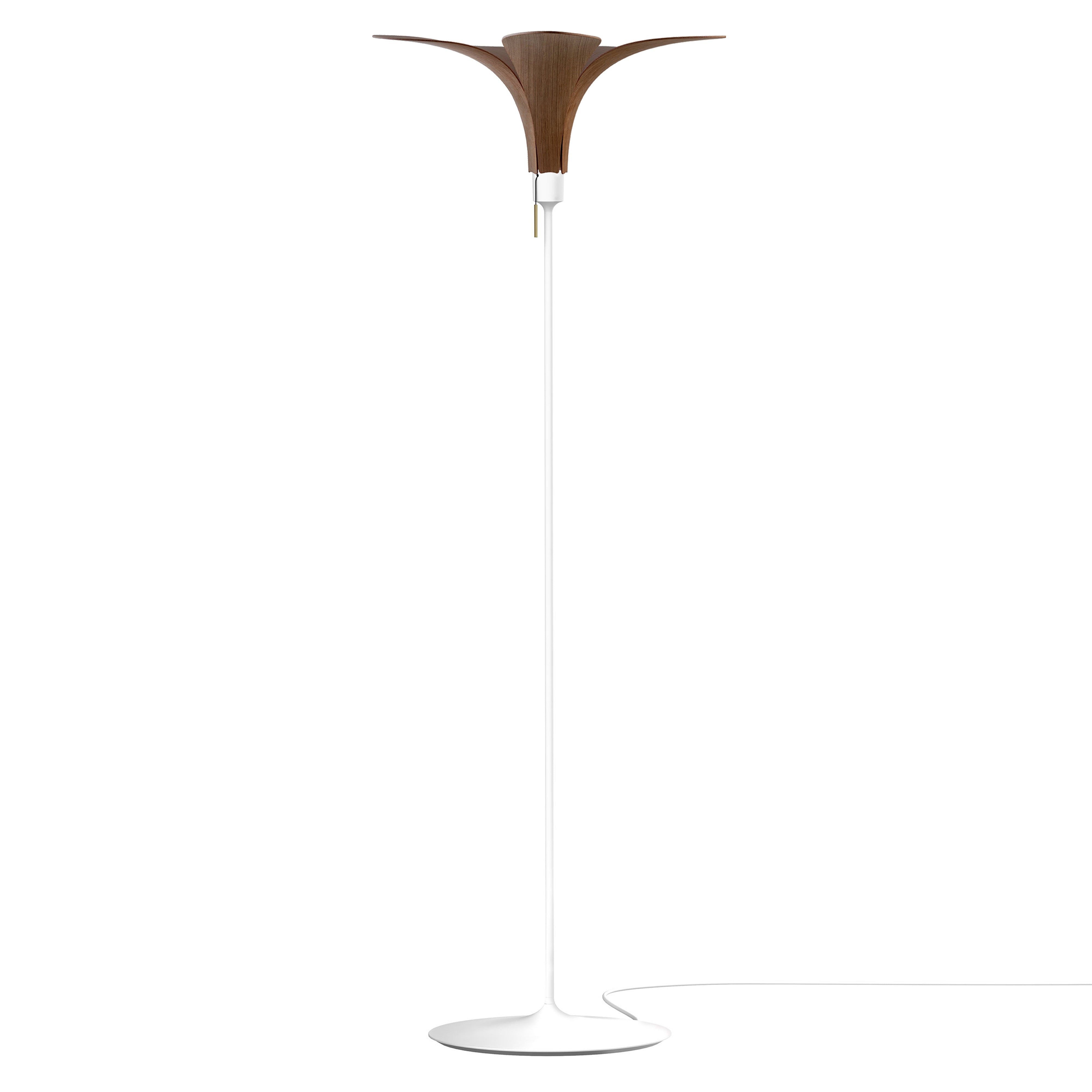 Jazz Champagne Floor Lamp: Dark Oak + Black