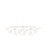 Heracleum III Linear Light: Copper