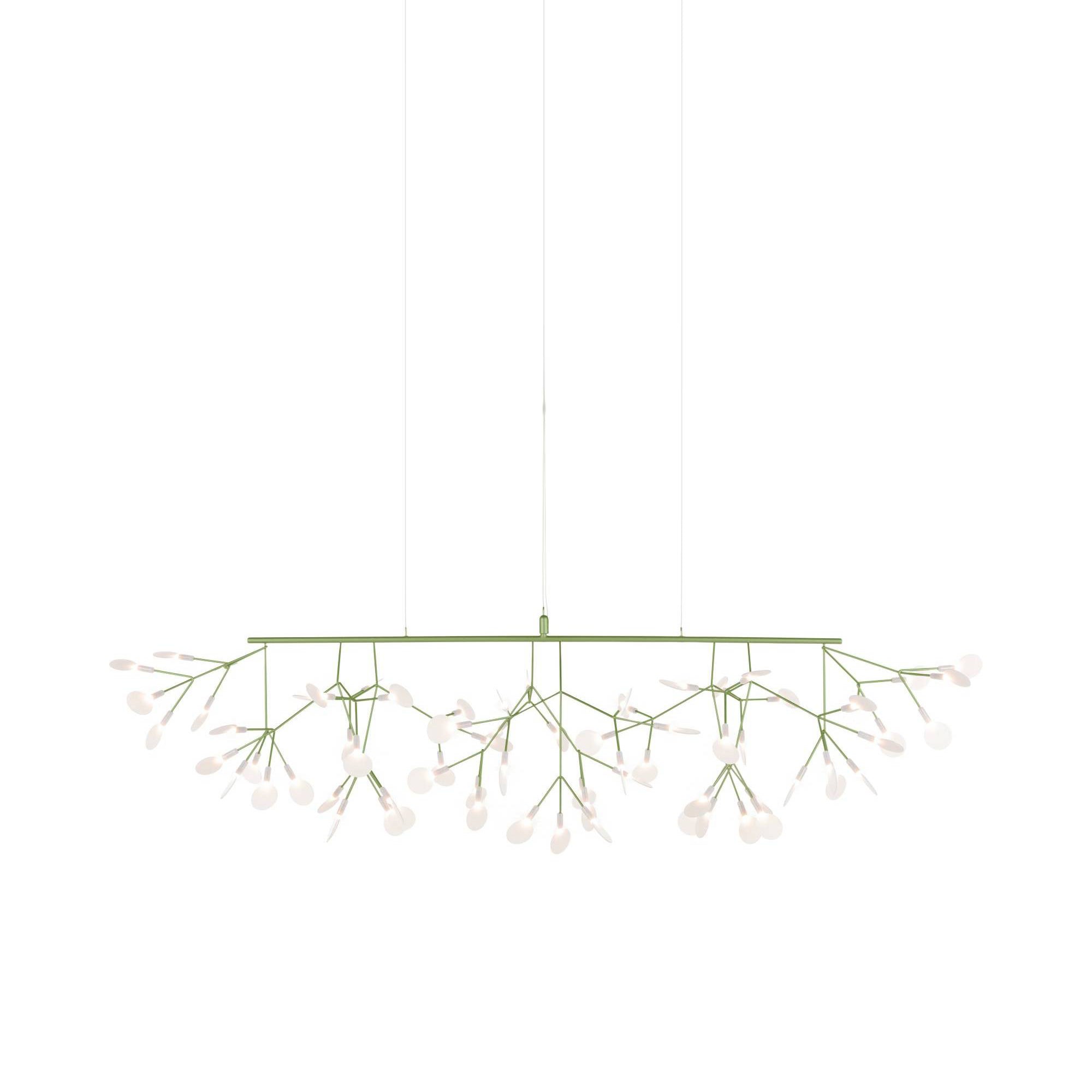 Heracleum III Linear Light: Green