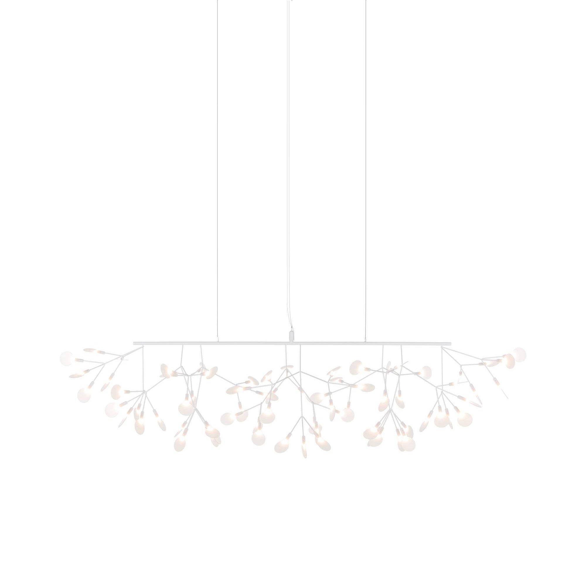 Heracleum III Linear Light: White