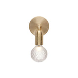 Crystal Bulb Wall Light: Frosted