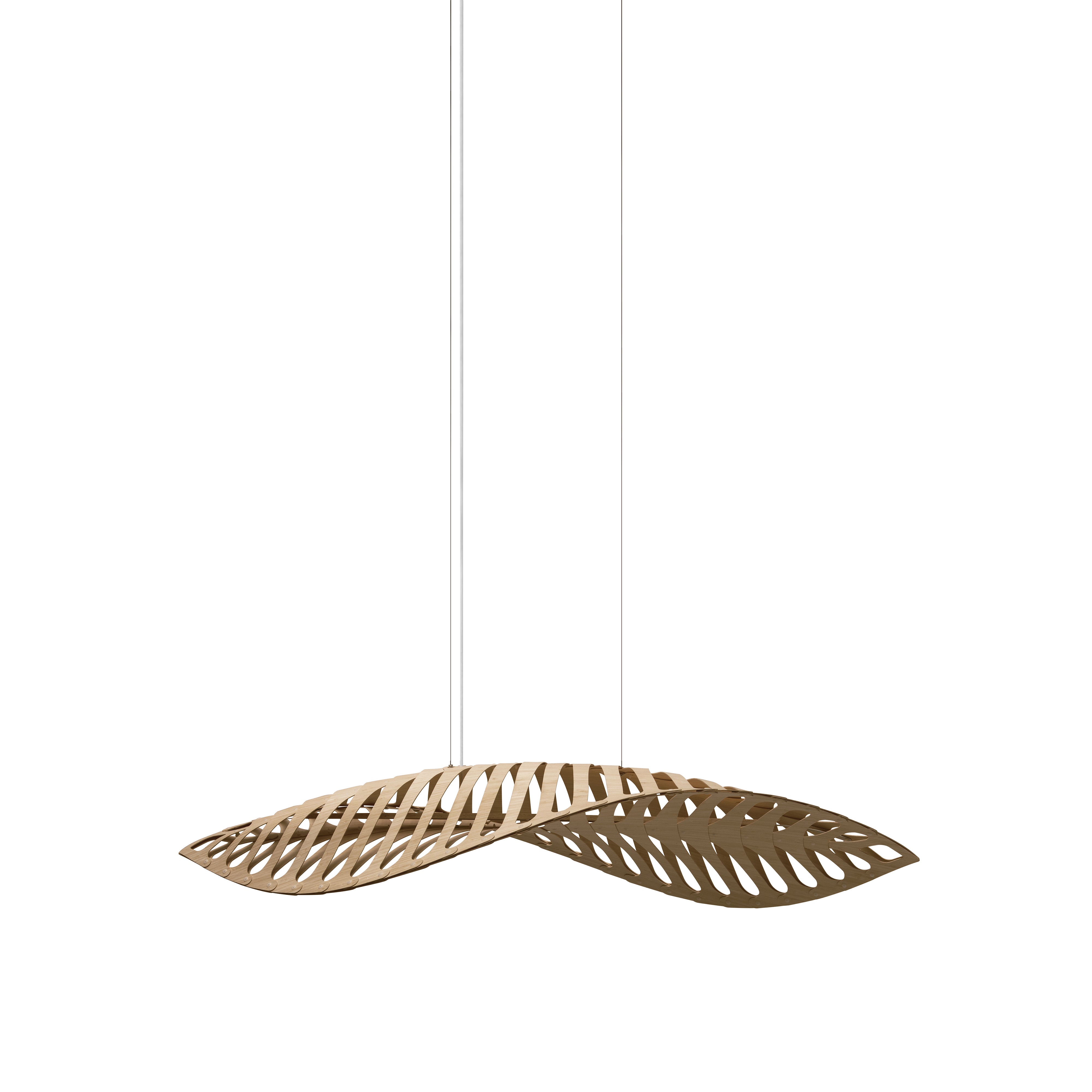 Navicula Pendant Light: Medium - 76.8