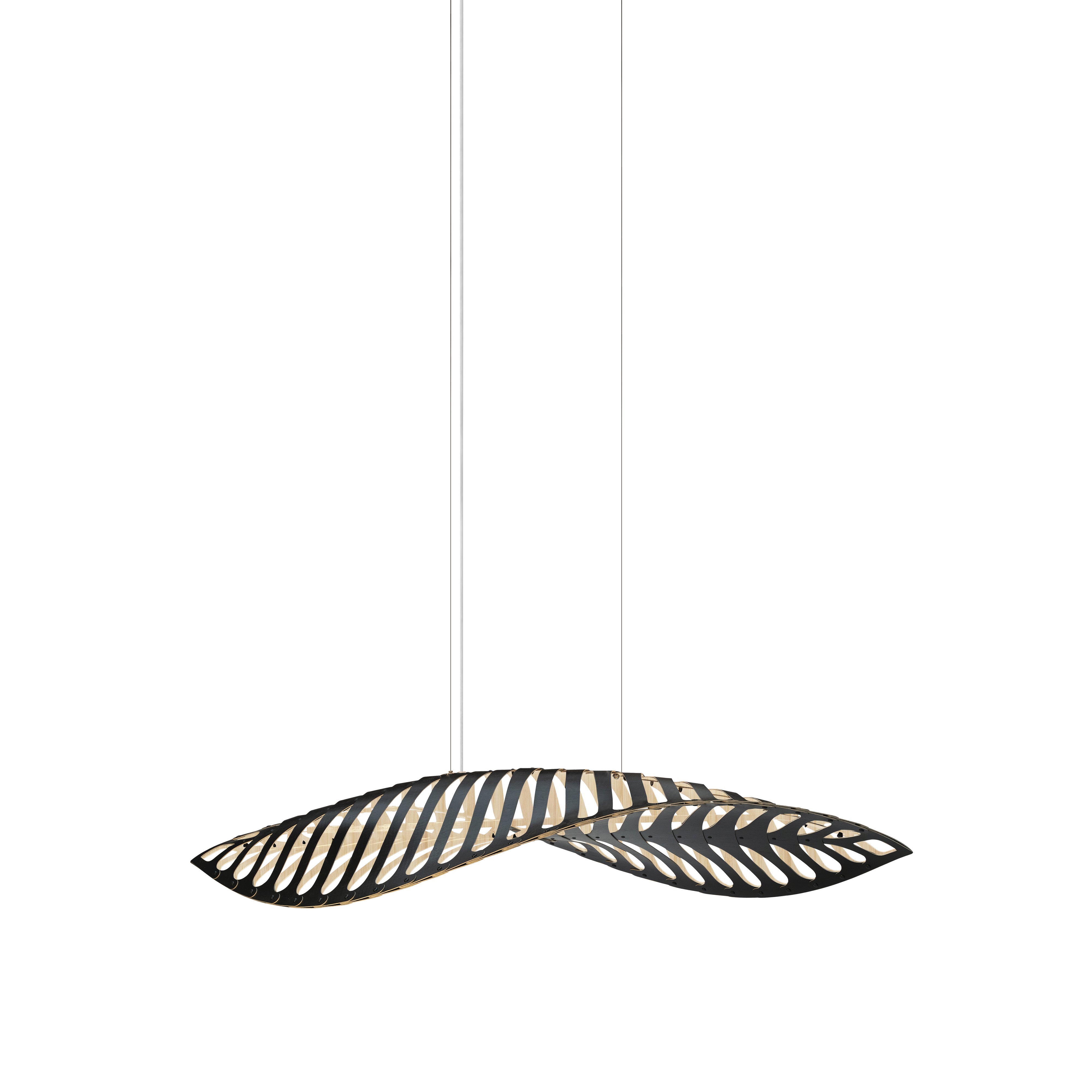 Navicula Pendant Light: Medium - 76.8