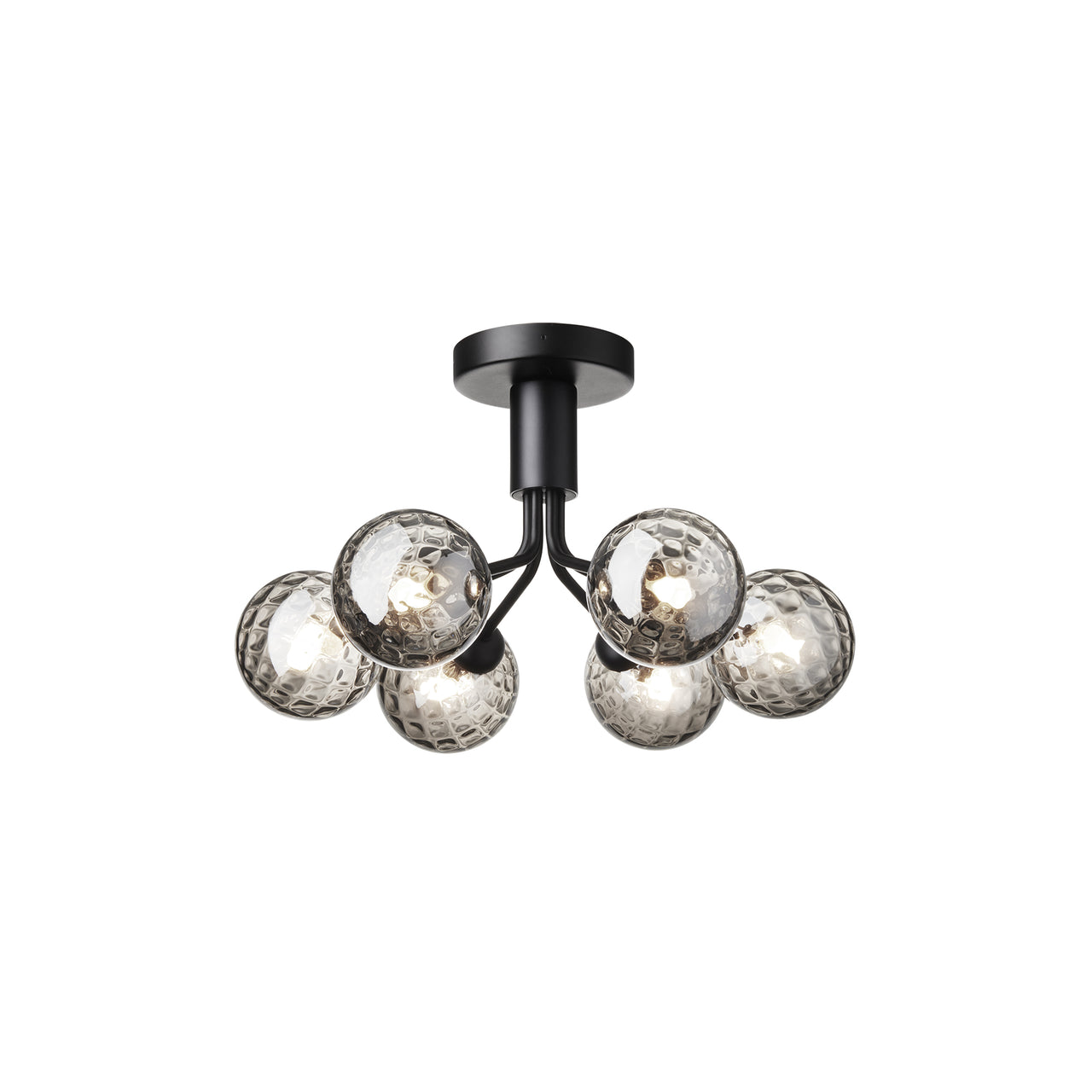 Apiales 6 Ceiling Lamp: Satin Black + Optic Smoked