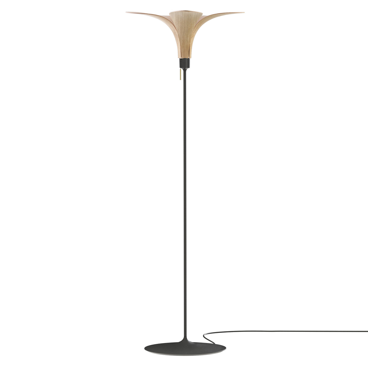 Jazz Champagne Floor Lamp: Oak + Black