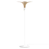 Jazz Champagne Floor Lamp: Oak + White