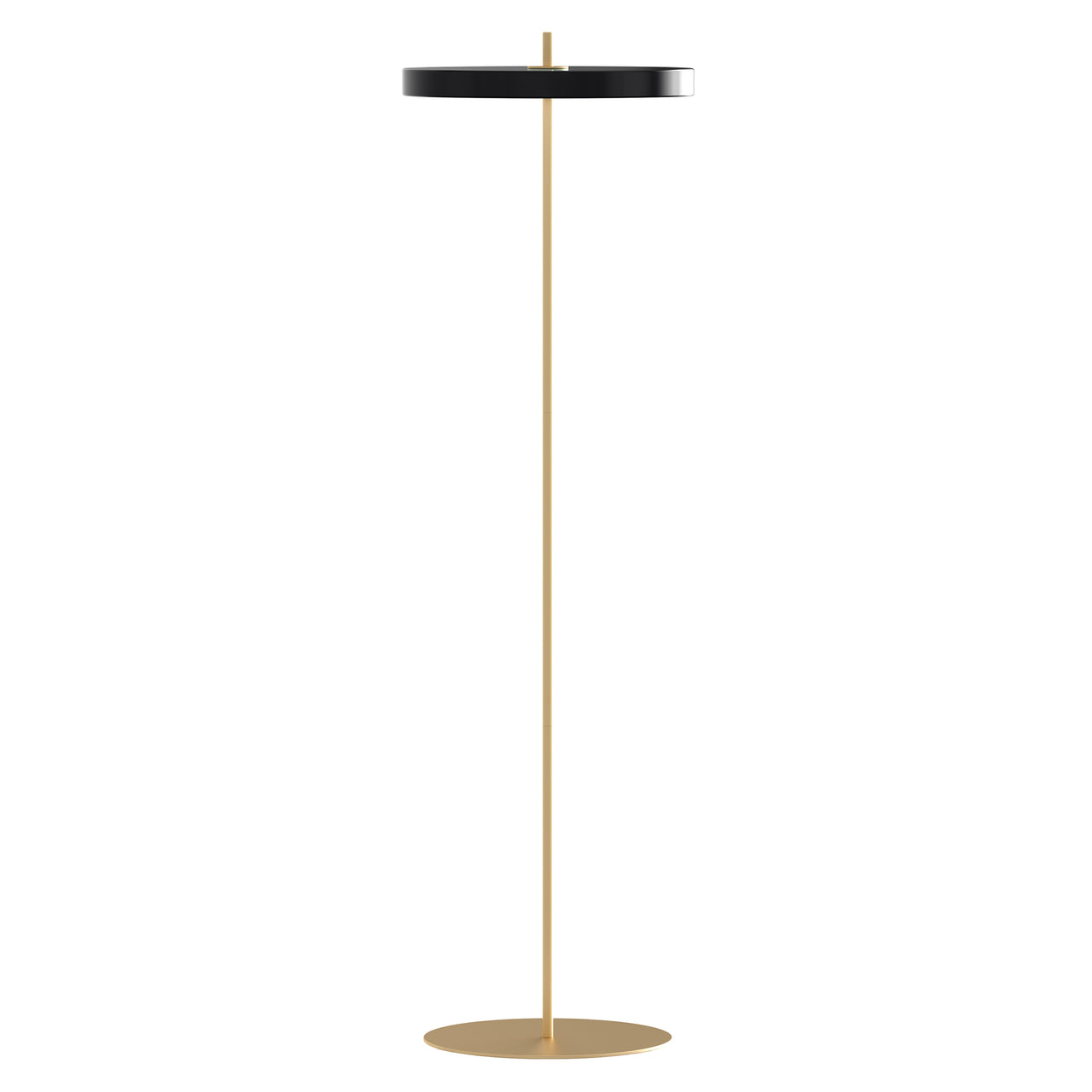 Asteria Floor Lamp: Black