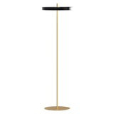 Asteria Floor Lamp: Black