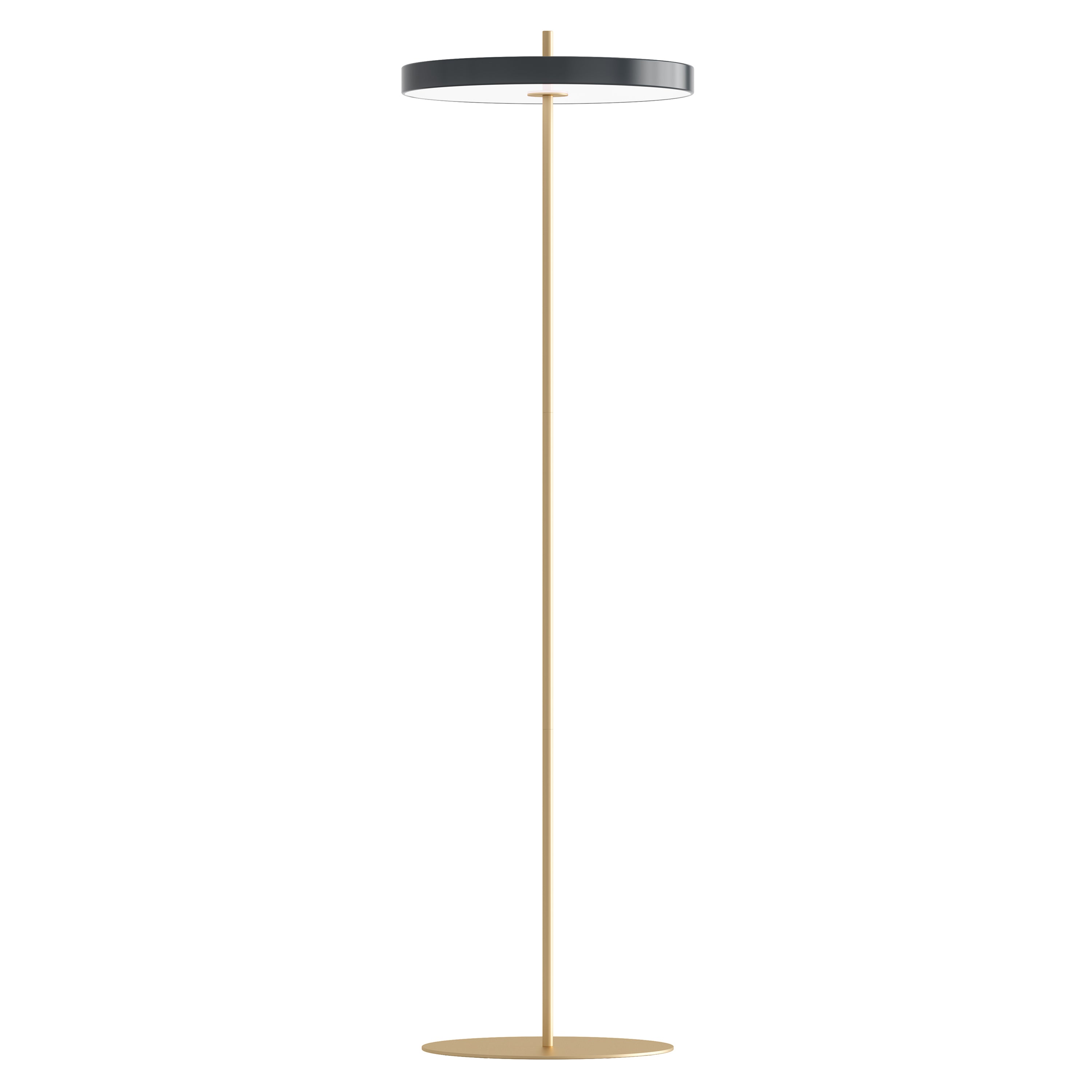 Asteria Floor Lamp: Anthracite Grey