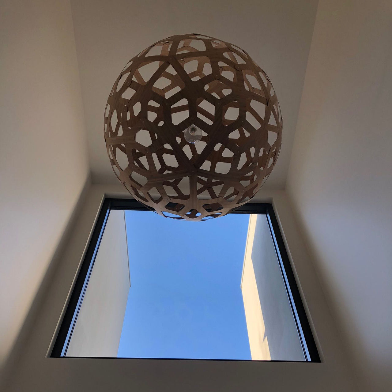 Coral Pendant Light: XX Large