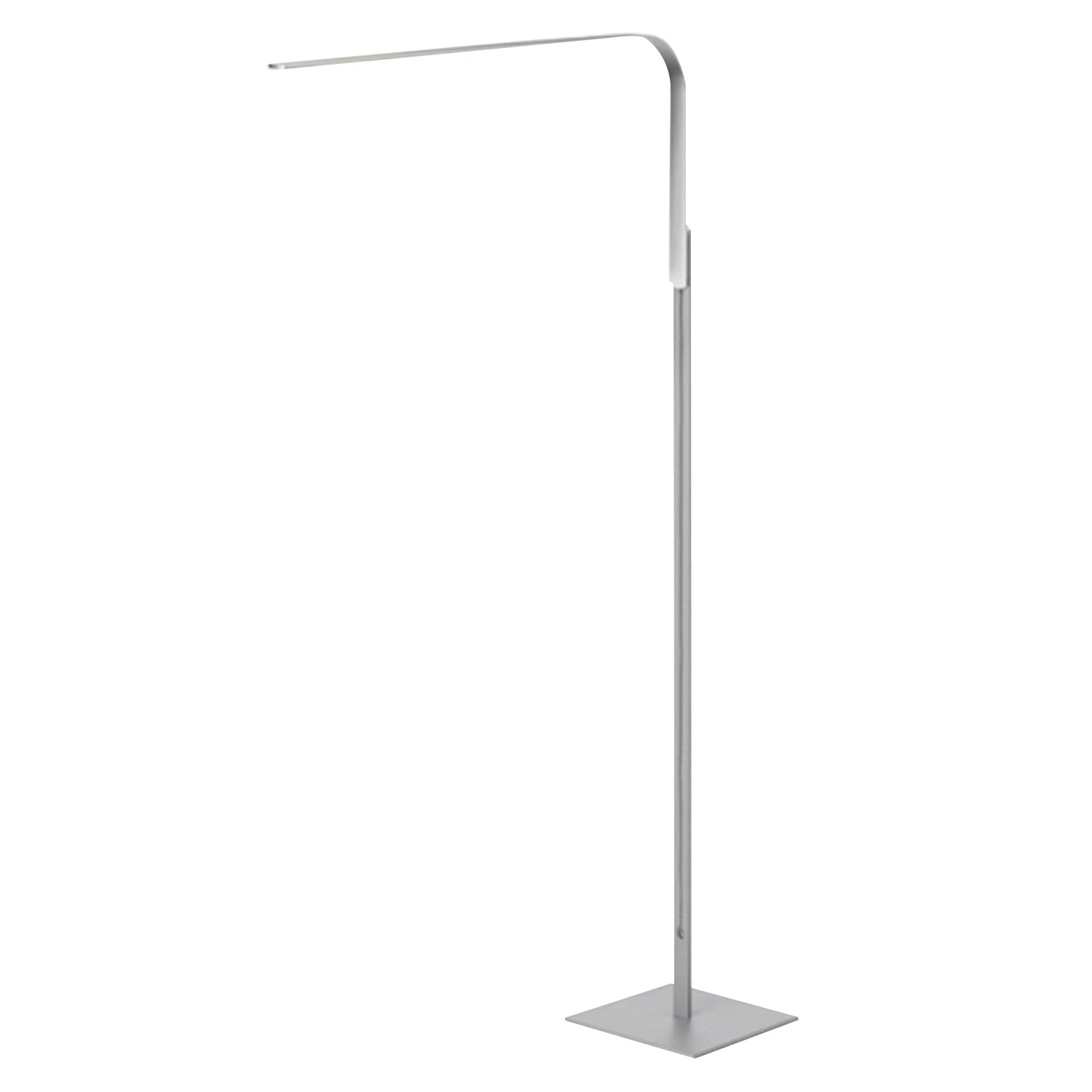 Lim Floor Lamp: Floor + Brushed Silver