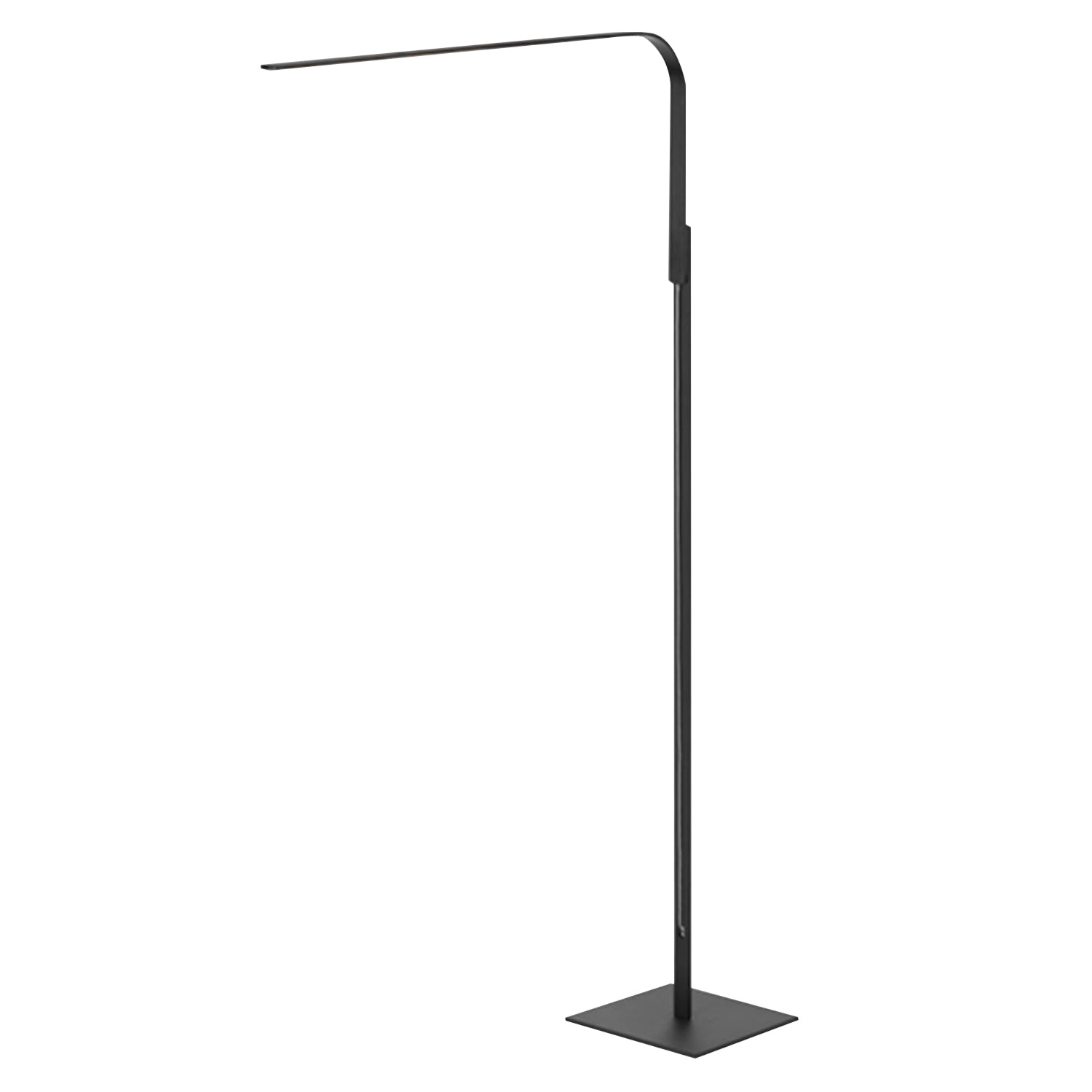 Lim Floor Lamp: Floor + Black