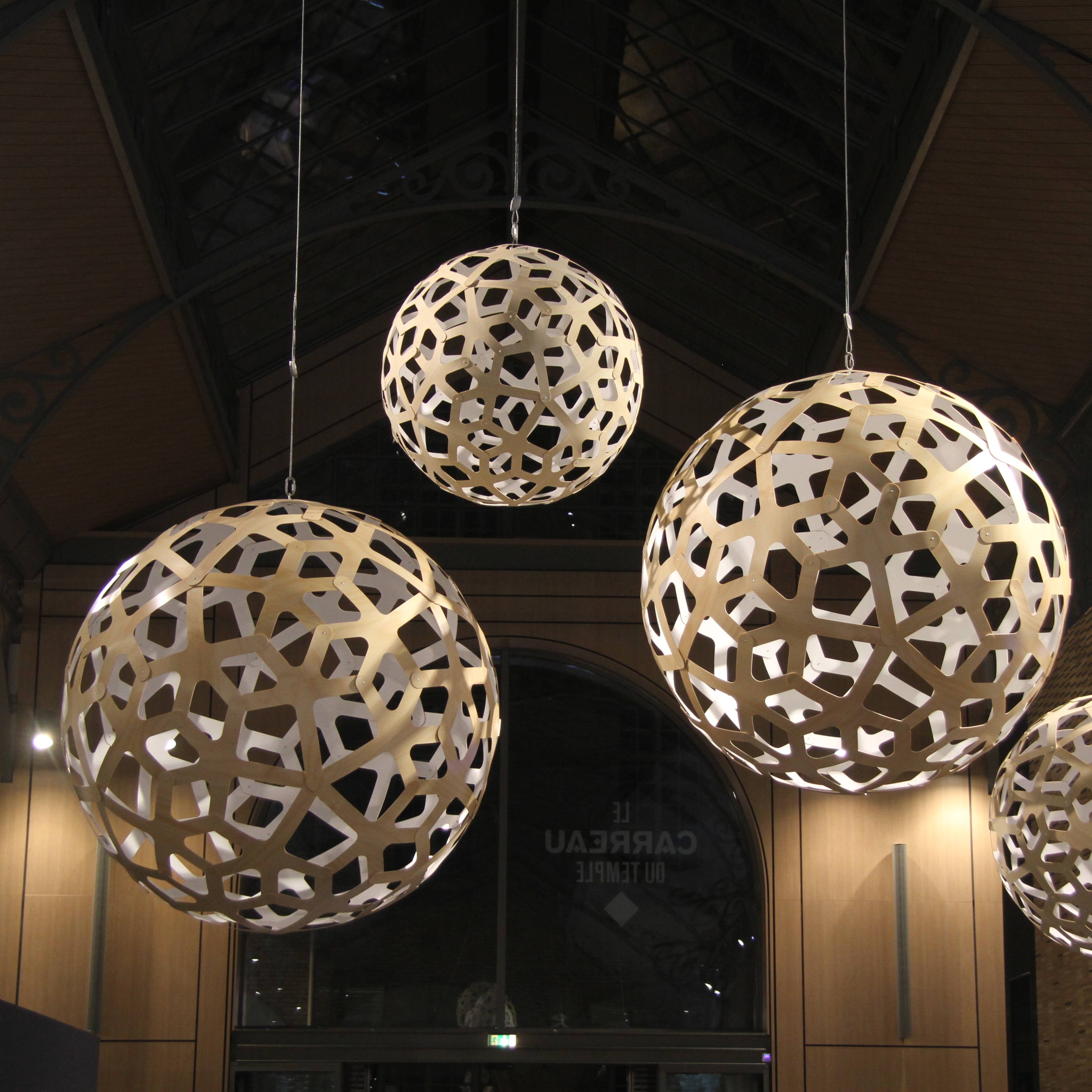 Coral Pendant Light: Medium