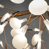 Heracleum III Linear Light