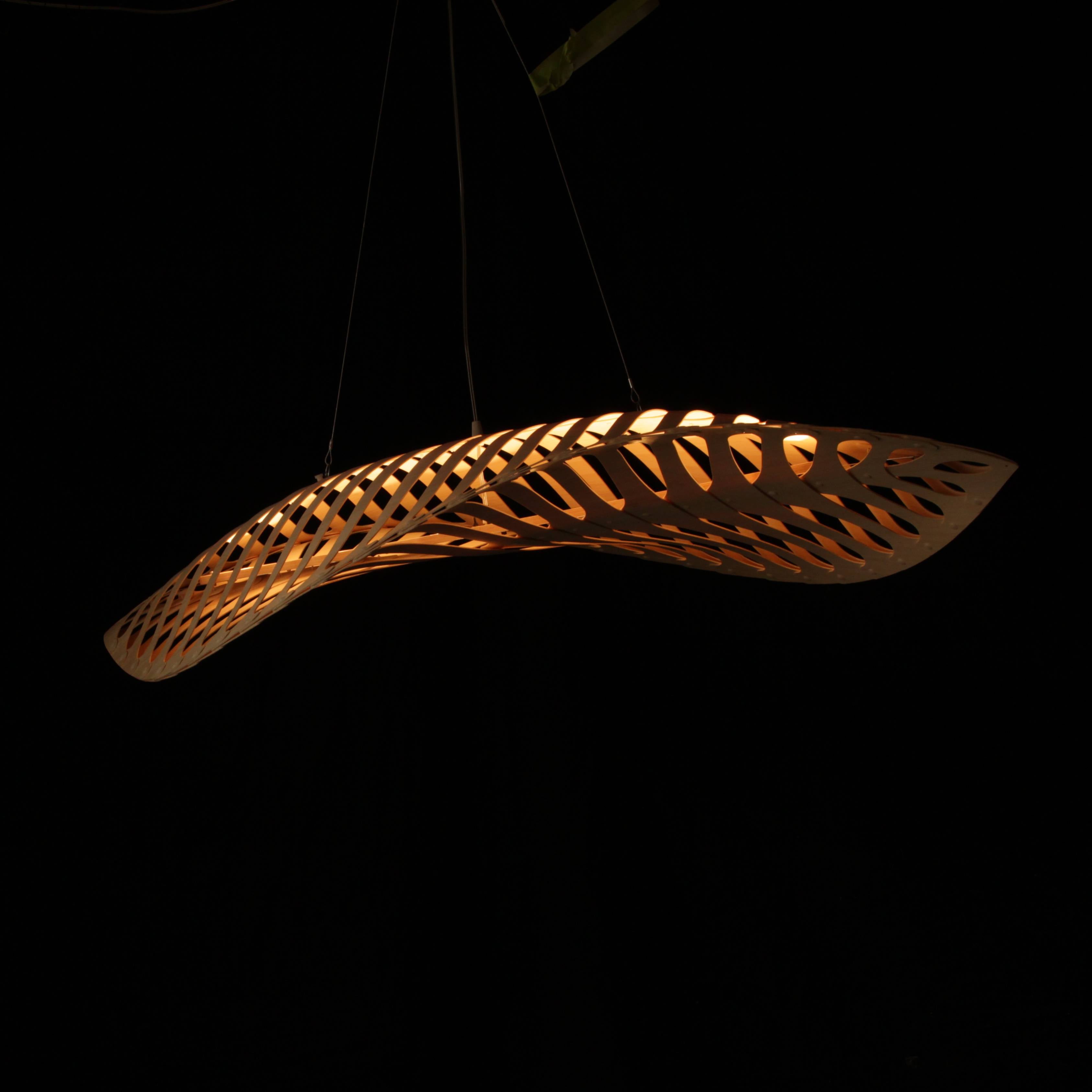 Navicula Pendant Light