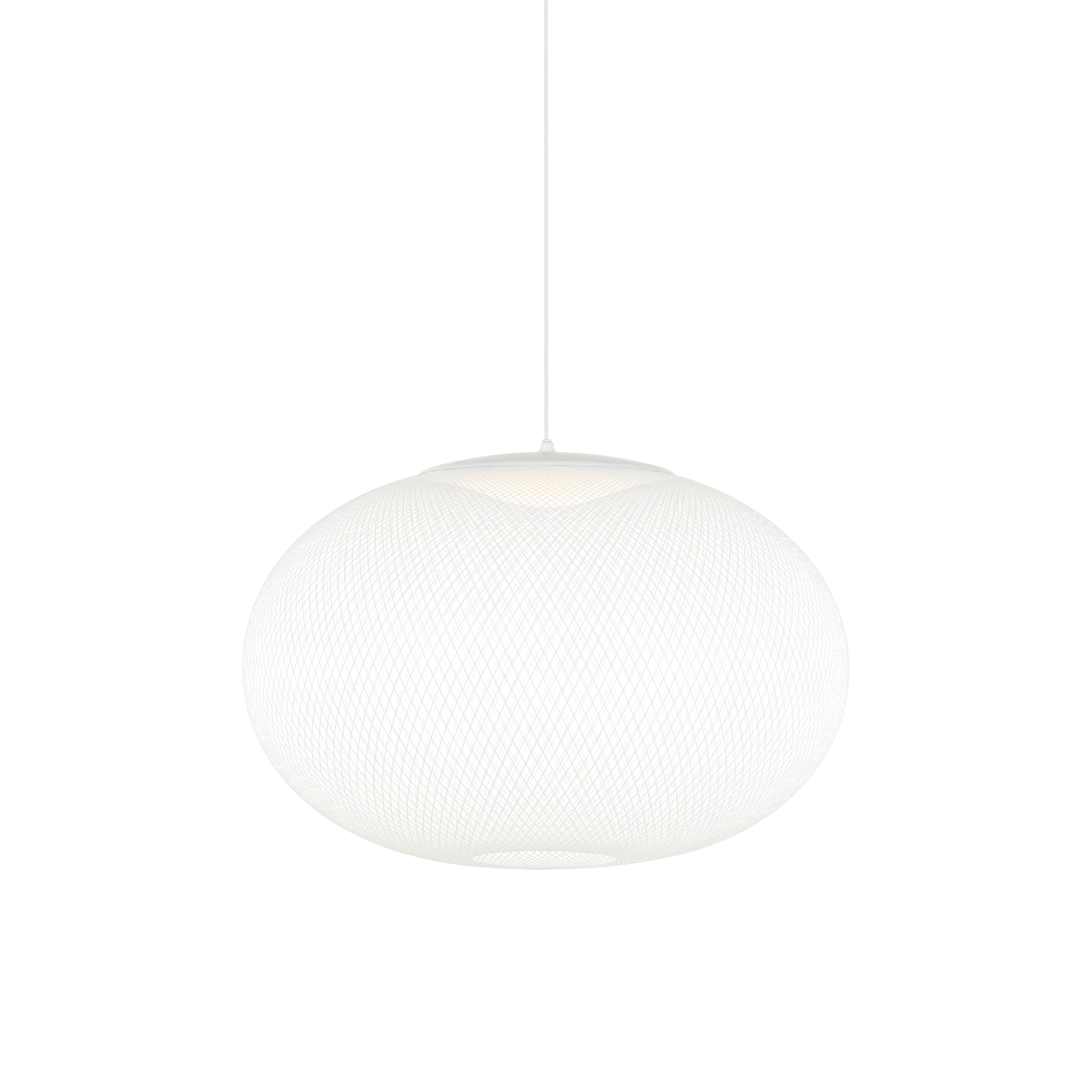 NR2 Suspension Light: Large - 29.5