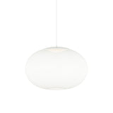 NR2 Suspension Light: Large - 29.5