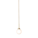 Apiales 1 Pendant: Small - 4.7