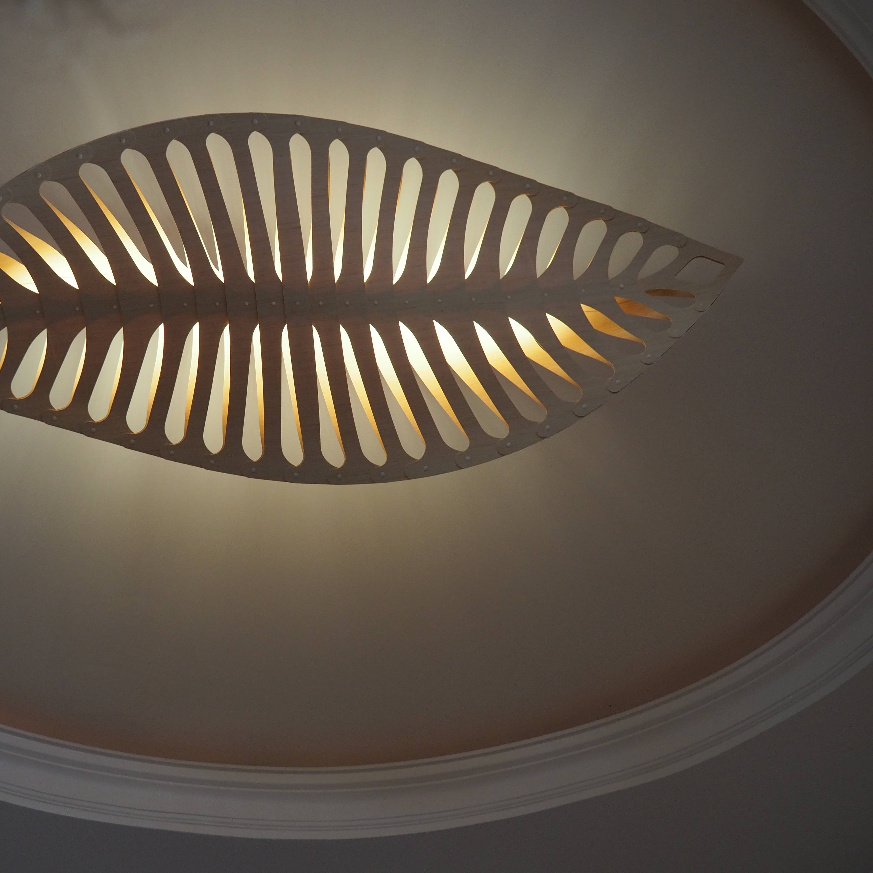 Navicula Pendant Light