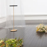 Asteria Floor Lamp