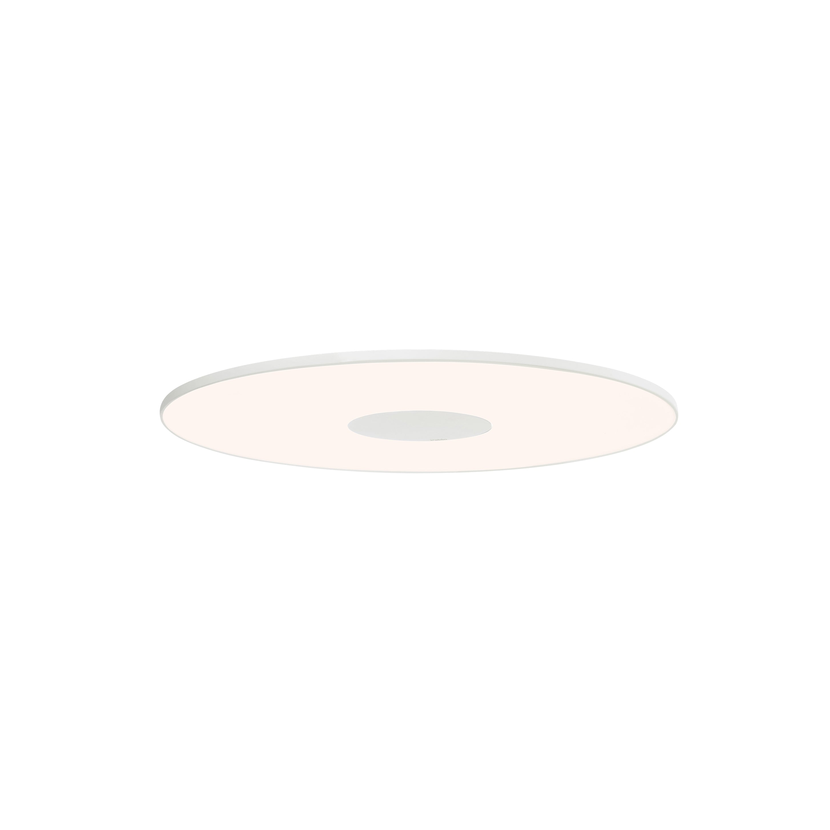 Circa Flush Wall/Ceiling Light: Large - 15.9